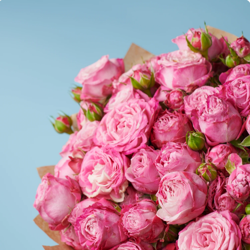 10-peony-pink-roses